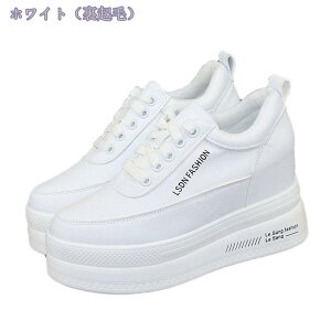 1000~OFFN[| JWAV[Y fB[X  y   Cq[Xj[J[ H ~ Cq[ V[NbgV[Y w ₷ ₷ r EH[LOV