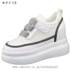 1000~OFFN[| fB[X C V[NbgV[Y Cq[  IV 킢 JWAV[Y n ₷ ̎q l C C [Jbg [t@[ Vv