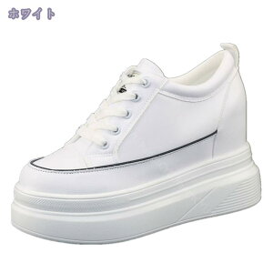 Xj[J[ fB[X \[ 傫TCY TCY ₷ JWA ig Vv ɂ y y C ʊw w oZ wZ ʋ d Vv V[Y y