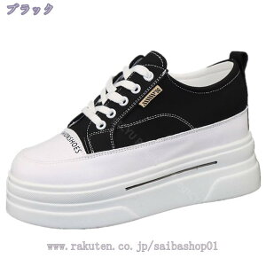 Xj[J[ fB[X EH[LOV[Y Xj[J[ C JWA gAbv V[Y C   y h ʋ ʊw 풅p p wȂ r  