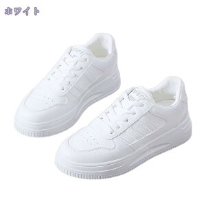 777~OFFN[| Xj[J[ fB[X \[ 傫TCY TCY ₷ JWA ig Vv ɂ y y C ʊw w oZ wZ ʋ d Vv