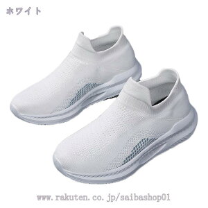1000~OFFN[| Xj[J[ fB[X jOV[Y ʋC y ~ X|[cV[Y Xb| WMO ^C  JWA W s ʊw ʋ 풅p  
