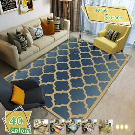 300円OFFクーポン ラグ カーペット シンプル モノトーン フランネルラグ 幾何学模様 洗える コンパクト ホットカーペット対応 オールシーズン レンガタイプ おしゃれ かわいい 北欧 ポップ 長方形 スベリ止め 丸洗い 折り畳み 可能 ナチュラル RaogtCYU