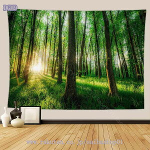 777~OFFN[| X^yXg[  kǊ|^yXg[ RiǊ|z 唻z|X^[   ͗lւ CeA ݂z ǂ̑ A[g @\z 唻 CeA A[g