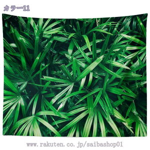 300~OFFN[| k ^yXg[ 唻  [t t 傫   Ǌ| ^yXg[ Bewi LC CeA G z|X^[ wiz t@ubN|X^[ C 