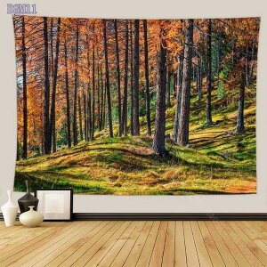 ^yXg[ Ǌ| i 댶R ؘR̐X Bep wi Ԏd؂J[e  CeAG  |X^[ @\Ǐ ₨X̑ Vjv[