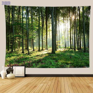 300~OFFN[| Ǌ| ؘR̐X iwi ^yXg[ Ԏd؂J[e |X^[ @\Ǐ ₨X̑  Ǌ| ʐ^   X ͋C]  rO