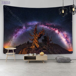 500~OFFN[| ^yXg[ Ǌ|  F   z CeA @\ CeA t@ubNpi ͗lւ  J[e Mtg Vj  