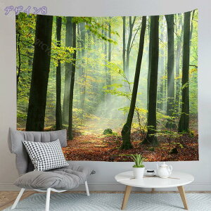 500~OFFN[| ^yXg[ X̒ X z̓ ݂z ǂ̑ _A[g @\z 唻 CeA A[g|X^[ Bep rfIc wi }`Jo[ ͗lւ  