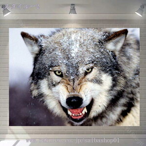 300~OFFN[| ^yXg[ IIJ~  Ǌ| p[eB[ @\ |GXe pi z  k  ̑ J[e ͗lւ rȌ CeA 