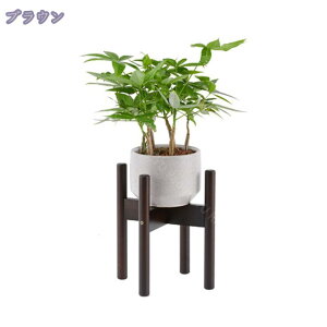 300~OFFN[| |bg X^h t[X^h  ϗtA a20cm/25cm/30cm/35cm s ~` ~r ۋr | Aؔ K[fjO bN  O ԑ v^[X^h u 