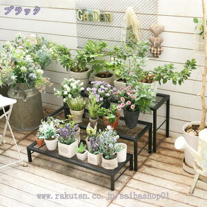 1000~OFFN[| AؔX^h 3iZbg v^[bN | K[fjO  A  x_ IV  CeA Aؔ|bg t[X^h |bN ϗtA t