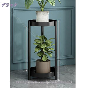 AؔX^h t[bN ^[ ϗtAX^h v^[bN |bN t[X^h 2i Au TChe[u zCg ubN ^[V[Y u v