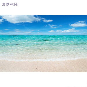 2000~OFFN[| O O}bg  zbgJ[ybgΉ 􂦂 C J[ybg k 3D Ri I[V[Y GXjbN pb`[N N₩ 킢 փ}bg O 