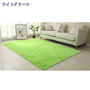 760~OFFN[| 􂦂 VM[O}bg ͊~ߕt 200×200cm O}bg O ` OJ[ybg J[ybg zbgJ[ybgΉ g[  킢 VM[O 