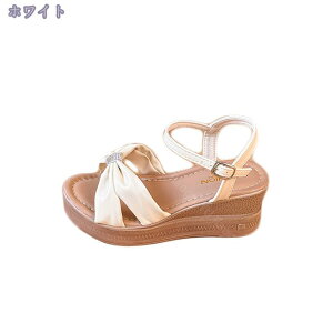 500~OFFN[| I[vgD obNXgbv T_ T_ 6.5cm ItBX ʊw ʋ ₷ Ȃ L o 傫TCY Xg[t T_ T}[ Rt