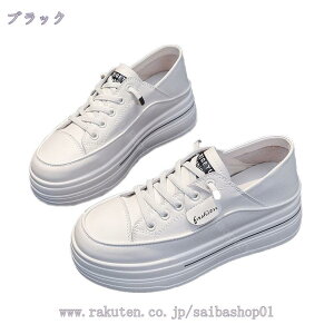 300~OFFN[| fB[X EH[LOV[Y [XAbvV[Y  Xj[J[ Ōt y Xj[J[ Ɠ߂ ₷ Ȃ wlC V[Y fbLV