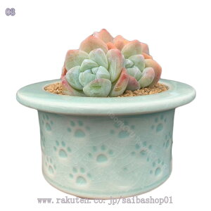 300~OFFN[| L̒  v^[ A Xq 킢 Aؔ    e[u z[ItBX iX t[|bg A ~` |pi CeA ~͔ |pi 