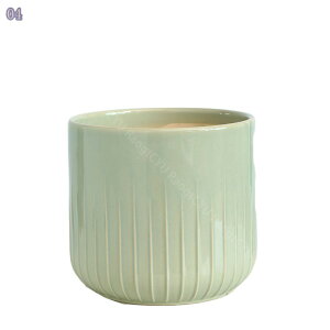 300~OFFN[| Aؔ eRb^ 񂪐F     n[u ͔| ~^ 2Zbg 󂯎Mt t |pi t[v^[ 킢 JCC  u 