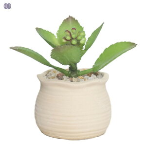 A   Aؔ ^ ꌊ ~jAؔ T{e ~j Aؔ  퐻 ی^ lbgt 2_Zbg ̓v[g AȂ T{e 퐻 ~jAKp 2