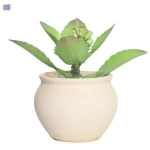 300~OFFN[| A   Aؔ ^ ꌊ ~jAؔ T{e ~j Aؔ  퐻 ی^ lbgt 2_Zbg ̓v[g AȂ T{e 퐻 