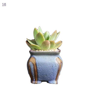 300~OFFN[| Aؔ K[fI[ig  ~jv^[ A W Ȃ K[f|bg  u  IV Aؔ  nlY~ ͂˂  Aؔ 