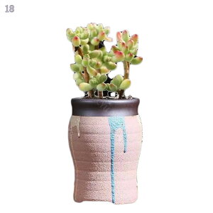 300~OFFN[| Aؔ K[fI[ig  ~jv^[ A W Ȃ K[f|bg  u  IV Aؔ  nlY~ ͂˂  Aؔ 