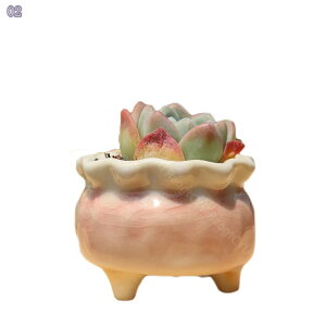 300~OFFN[| J[ t[|bg Aؔ  t[|bg A T{e  A vg CeA g  IV  킢 JCC  |bv J