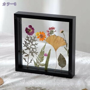 300~OFFN[| Wp tHgt[ q̊G Wp A[gt[ ؖ y G W fUCtHgt[ pW wZ ct p[eB[̑ Vzj GW Ǌz G`