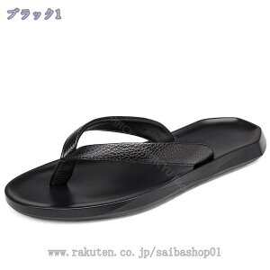 gO T_ Y r[`T_  ɂȂ ₷ Ȃ ₷ jp  Xbp ItBXT_  ][g AEghA y ʋC x_ RaogtCYU