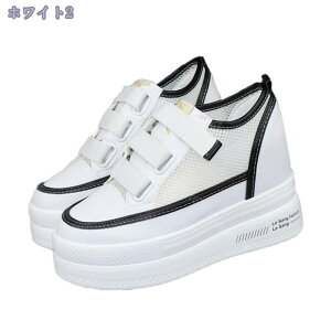 1000~OFFN[| Cq[Xj[J[ fB[X Xj[J[  JWAV[Y  q[ Cq[  ؍ r r 傫TCY ʋC [Jbg ₷ 