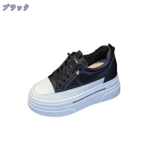 1000~OFFN[| JWAV[Y fB[X R  y   Cq[Xj[J[ H ~ 7cmAbv Cq[ V[NbgV[Y w ₷ ₷ r EH[