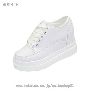 1000~OFFN[|  RtH[g fB[X Xj[J[ Cq[  ₷ EhgD [Jbg JWA y ʋC ~ V[NbgV[Y 傫TCY  