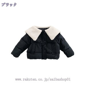 q R[g  WPbg  OJ Wbp[ LbY g _ER[g V[g ւ֗ 㒅 h h i ~ AE^[EFA ʉ ʊw VN aj RaogtCYU