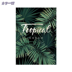 777~OFFN[| ̂ 170cm k hAJ[e A  ɂ 낢 _炩 65*70cn hAJ[e ̓ ډB 70*120cm ՔMfM _ Ԏd؂J[e  L rO