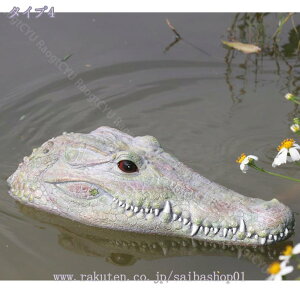 1000~OFFN[| K[fI[ig ͔n W r { G K[fjOu I[ig K[fjOG ̒u IuWF [Ăɂ񂮒u 