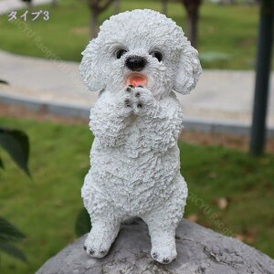 500~OFFN[| K[fjO ObY     IuWF I[ig O i K[fjOG  YȒu 肢 hbO  ʐ^ t