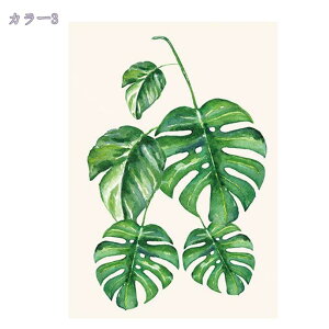 kg ̂ A J[e d؂ ^yXg[ ˂_t V[g ډB Ռ _  Lb` gC XܗpQ E  ʏJ[e O  