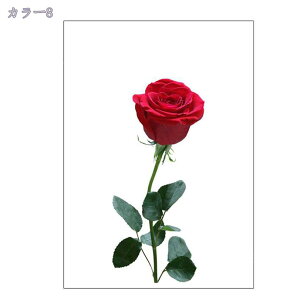 kg ̂ A J[e d؂ ^yXg[ ˂_t V[g ډB Ռ _  Lb` gC XܗpQ E  ʏJ[e O  