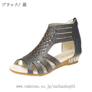 OfBG[^[T_ fB[X T_ EFbW I[vgD obNt@Xi[ T_  w ʊw ʋ hvbgtH[ _炩 ubN h ʋC 20-45 