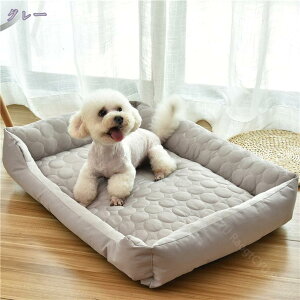 ybgpN[\t@xbh lp L xbh  ΍ ybgxbh tp ėp ی^ \t@   Ck  L lR ˂ t ybgp ې  ~ Q  M 