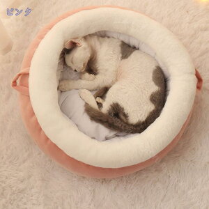 500~OFFN[| ybgxbh ی^ 􂦂 I[V[Y 킢 L ^ ^ ^ pi Lpi ӂӂ ӂӂ  ӂ ybgNbV ^ ^ ʔN NbV