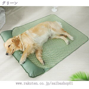 500~OFFN[|  L xbh ybgxbh pxbh ybg\t@[ ybgNbV ӂӂ   NbV  ^ ^ q L ^pxbh ybgpxb