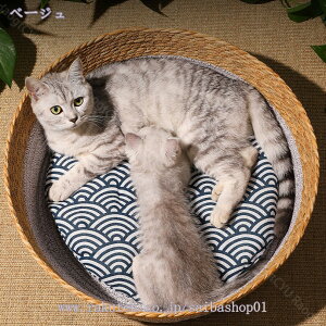 500~OFFN[| ybgxbh Lxbh xbh ^  ҂ }҂ pP[W  ėp t }bg   ʋC v ϊ ȒP ϋv  bNX