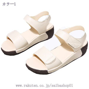 ₷ T_ ؂ fB[X  ItBX EFbW\[ 傫TCY y Xgbv wlC XgbvT_ xN }WbNe[v }} C tH[} JW