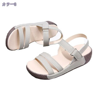 1000~OFFN[| T_ 5cm q[  Ȃ ɂȂ  ₷ fB[X 傫TCY TCY y y EFbW\[ t  H  s xN EFbW