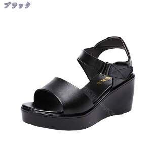 6cmq[ T_ fB[X EFbW\[ ItBXT_  傫TCY I[vgD RtH[g T_ }} ][g JWAV[Y }WbNe[v EFbWT