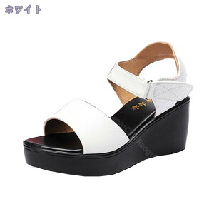 1000~OFFN[| 6cmq[ T_ fB[X EFbW\[ ItBXT_  傫TCY I[vgD RtH[g T_ }} ][g JWAV[Y }WbNe[