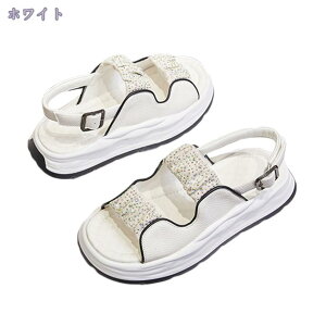 T_ fB[X ₷ s  EFbW\[ ~[ T{ q[ 6cm RtH[gT_ Xgbv t fB[X I[vgD ᔽ T_ dC X