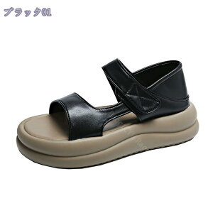  T_ fB[X  RtH[g   }WbNe[v I[vgD JWAT_ R[f ʋC X|[cT_ EFbW\[ y EȂ q[T_